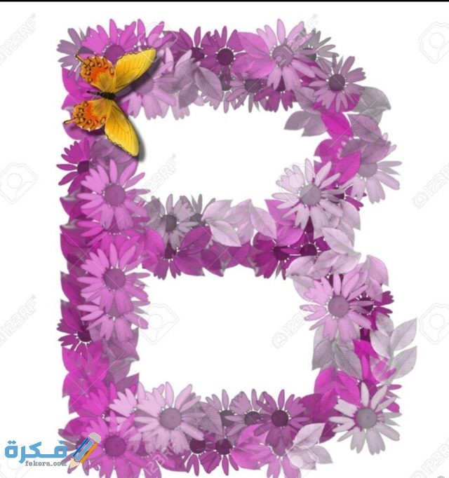 IMG ٢٠٢٠١١٠٩ ١٣٠٢٣٨