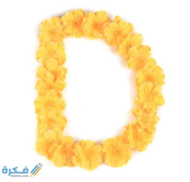 IMG ٢٠٢٠١١٠٩ ١٣٤١٢٥