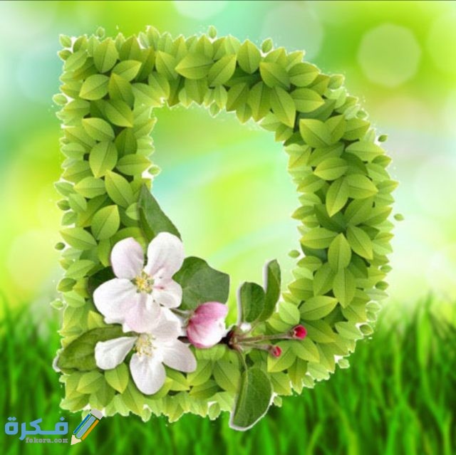 IMG ٢٠٢٠١١٠٩ ١٣٤١٥٢