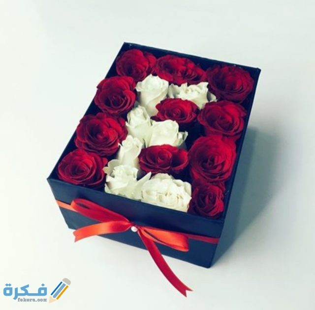 IMG ٢٠٢٠١١٠٩ ١٥٥١٠٤