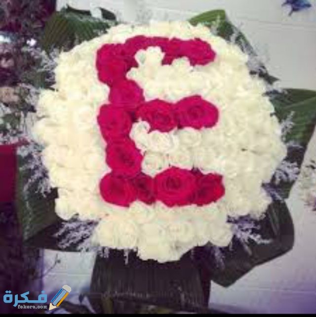 IMG ٢٠٢٠١١٠٩ ١٥٥٣٣١