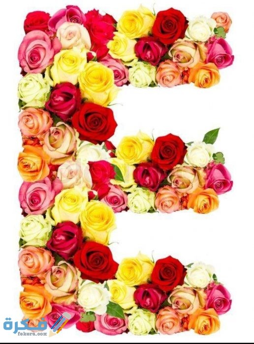 IMG ٢٠٢٠١١٠٩ ١٥٥٥١٤