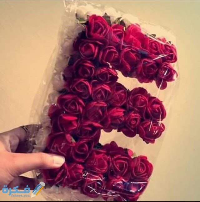 IMG ٢٠٢٠١١٠٩ ١٥٥٥٥٩