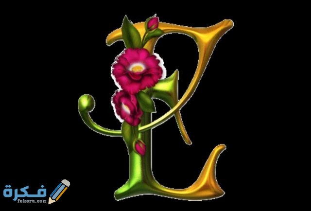 IMG ٢٠٢٠١١٠٩ ١٥٥٦٤٩