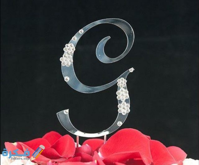 IMG ٢٠٢٠١١٠٩ ١٦١٢٤١