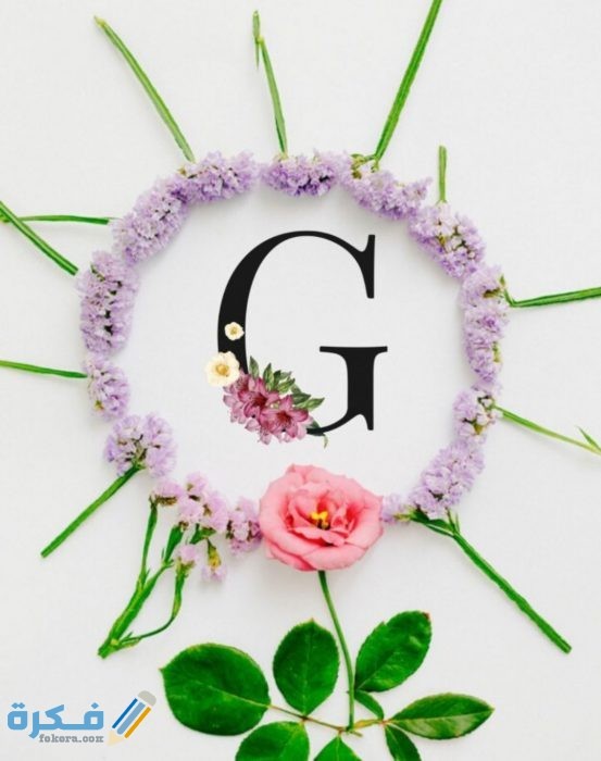 IMG ٢٠٢٠١١٠٩ ١٦١٤٣٩