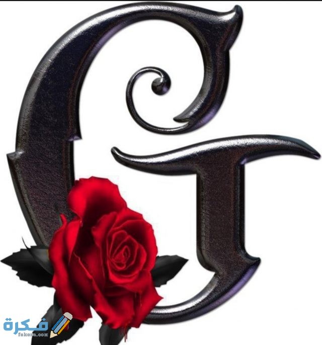 IMG ٢٠٢٠١١٠٩ ١٦١٦٢٧