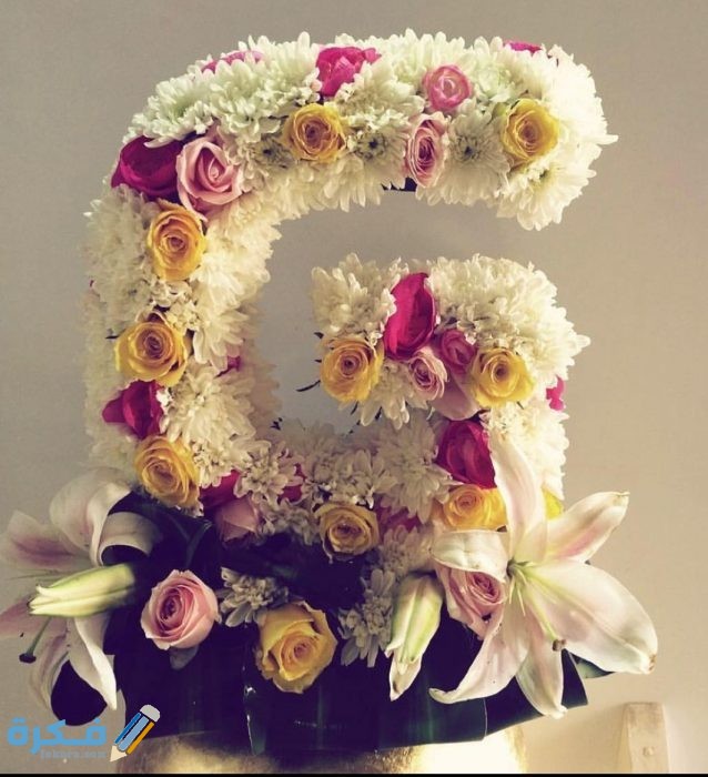 IMG ٢٠٢٠١١٠٩ ١٦١٨٠٣