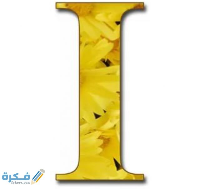 IMG ٢٠٢٠١١٠٩ ١٦٣٩١٨