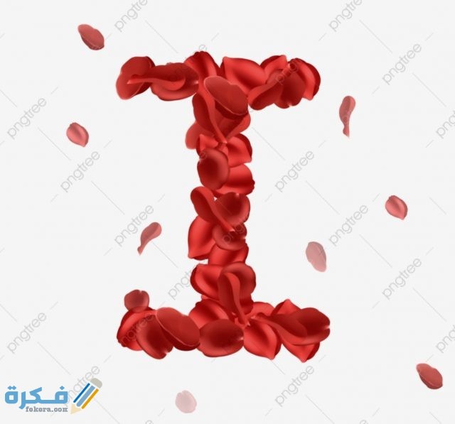 IMG ٢٠٢٠١١٠٩ ١٦٤٠٠٦