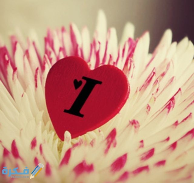 IMG ٢٠٢٠١١٠٩ ١٦٤٠١٨