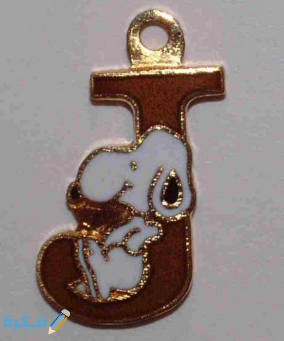 IMG ٢٠٢٠١١٠٩ ١٦٤٨٣٧