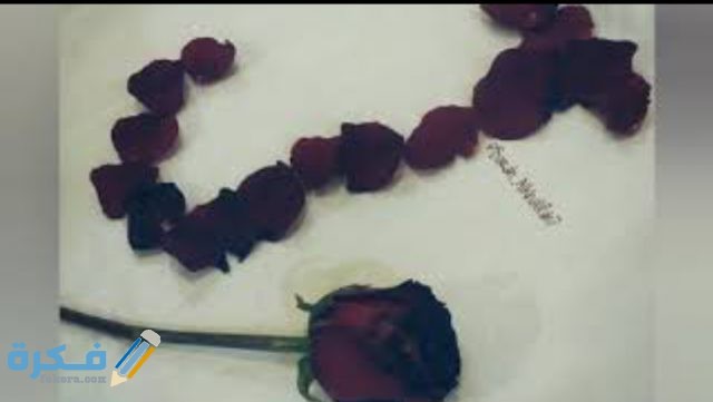 IMG ٢٠٢٠١١٠٩ ١٦٤٨٥٣