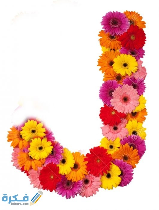 IMG ٢٠٢٠١١٠٩ ١٦٥٠٤٨