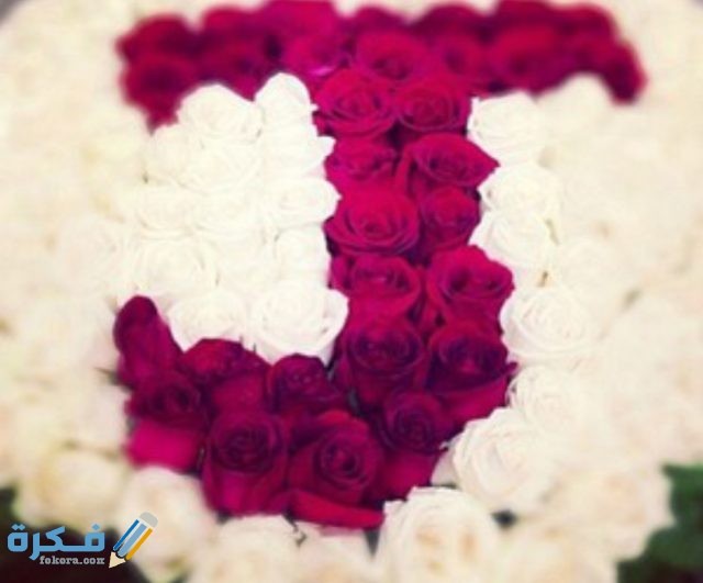 IMG ٢٠٢٠١١٠٩ ١٦٥١٥٠