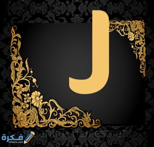 IMG ٢٠٢٠١١٠٩ ١٦٥٢٤٧