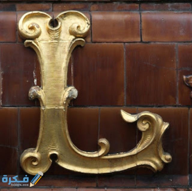 IMG ٢٠٢٠١١١٠ ٠٧٣٨١٢