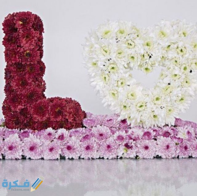 IMG ٢٠٢٠١١١٠ ٠٧٤٠٠٤