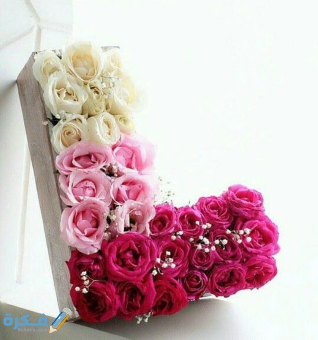 IMG ٢٠٢٠١١١٠ ٠٧٤٠١٨