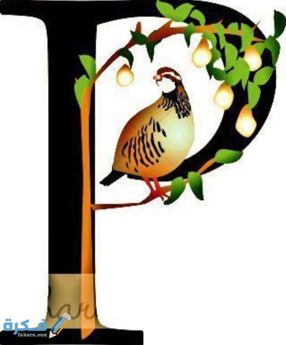 IMG ٢٠٢٠١١١٠ ٢٠٠٥٠٧