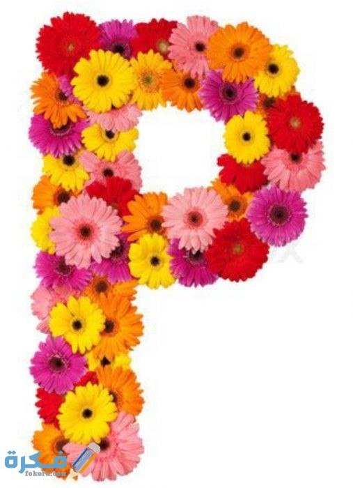 IMG ٢٠٢٠١١١٠ ٢٠٠٧١١