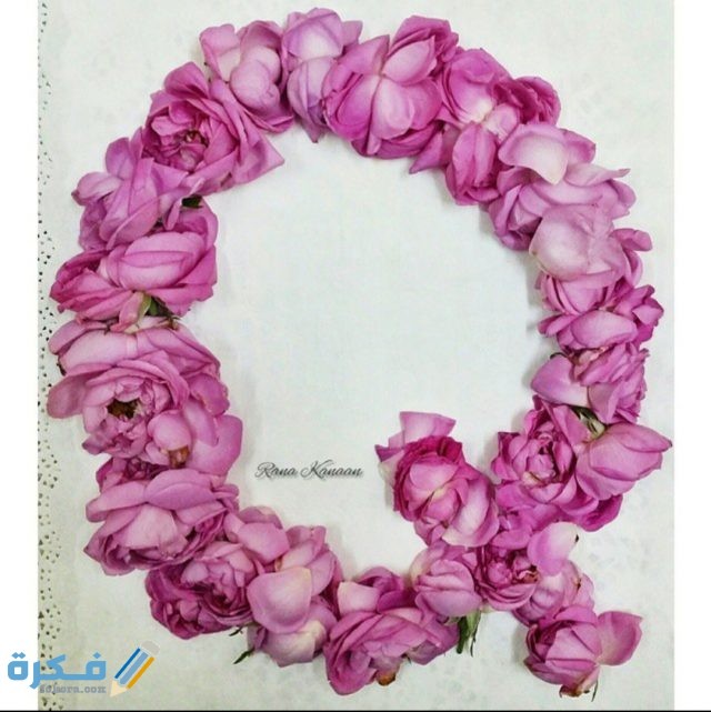 IMG ٢٠٢٠١١١٠ ٢٠١٧٤٣