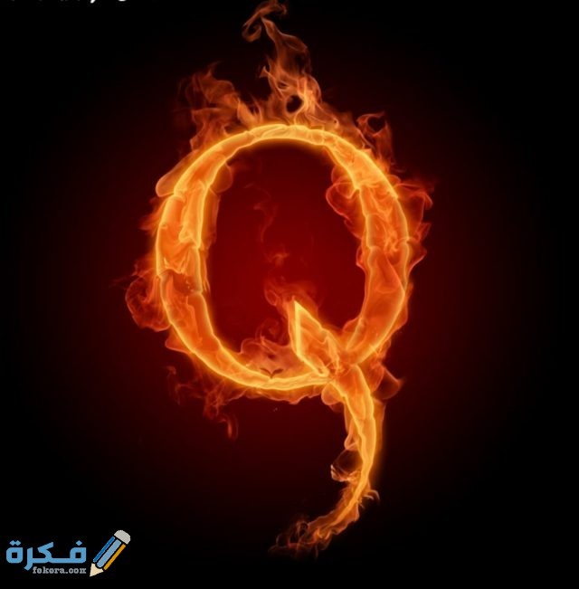 IMG ٢٠٢٠١١١٠ ٢٠٢٣١٢