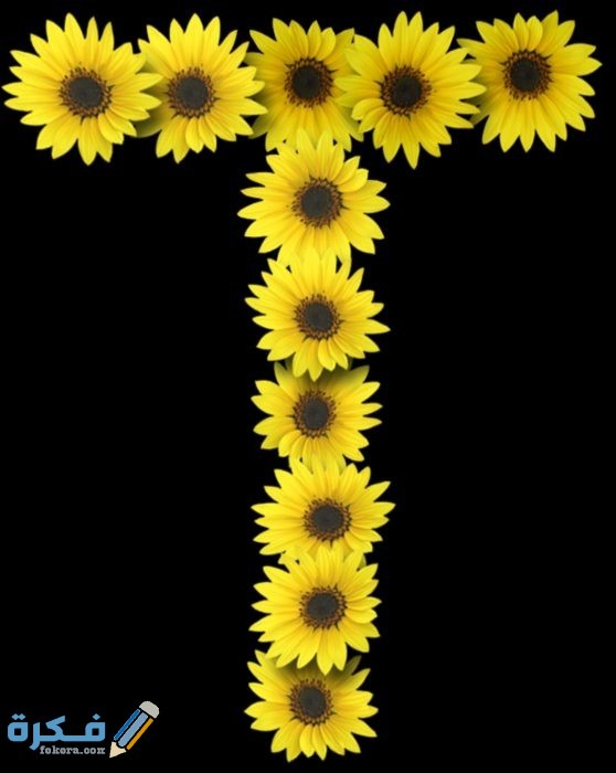 IMG ٢٠٢٠١١١١ ٢٠١٤٢٦