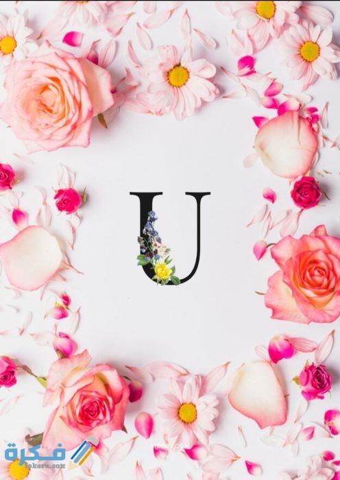 صور حرف U مزخرفة 2021 IMG ٢٠٢٠١١١١ ٢٠٣٥٢٣