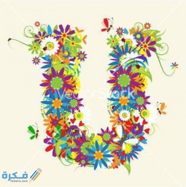 صور حرف U مزخرفة 2021 IMG ٢٠٢٠١١١١ ٢٠٣٥٥٧