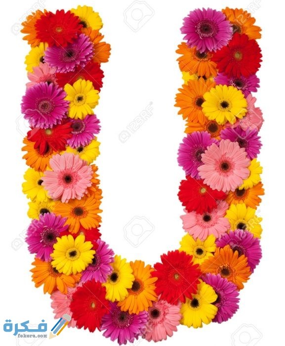صور حرف U مزخرفة 2021 IMG ٢٠٢٠١١١١ ٢٠٣٦١٢