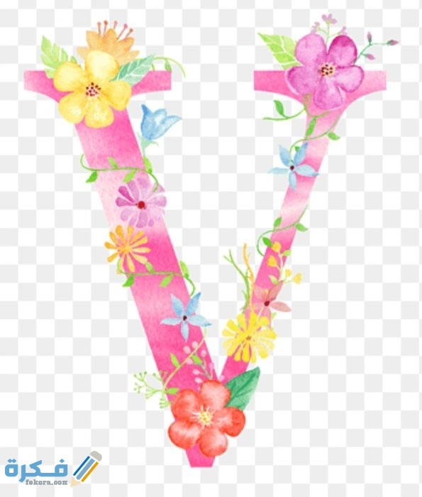 صور حرف V مزخرفة 2021 IMG ٢٠٢٠١١١٣ ١٠٣٢٢٧