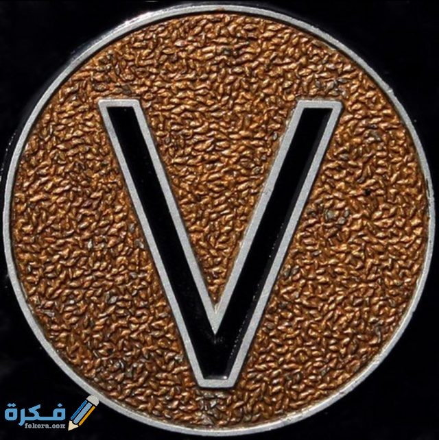 صور حرف V مزخرفة 2021 IMG ٢٠٢٠١١١٣ ١٠٣٣٢٨