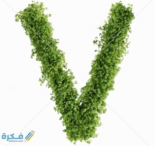 صور حرف V مزخرفة 2021 IMG ٢٠٢٠١١١٣ ١٠٣٥٢٧