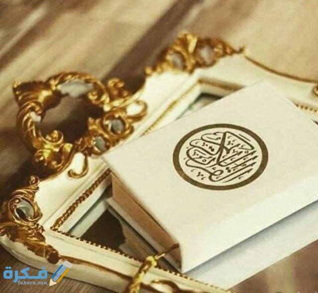 IMG ٢٠٢٠١١١٣ ١١٠٠١٩