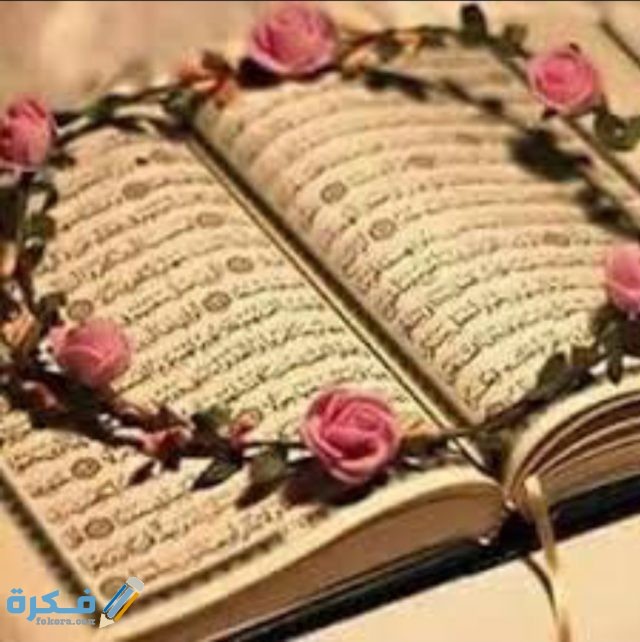 IMG ٢٠٢٠١١١٣ ١١٠٠٣٥