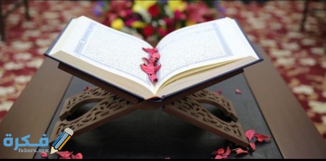 IMG ٢٠٢٠١١١٣ ١١٠٠٥٠