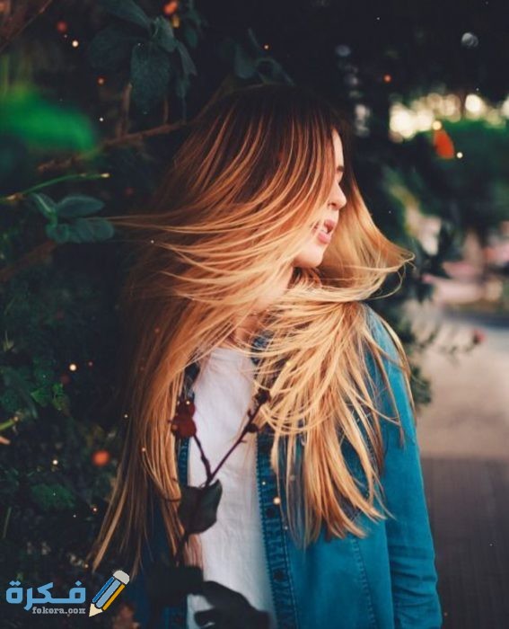 IMG ٢٠٢٠١١١٣ ١١٠١٤٤