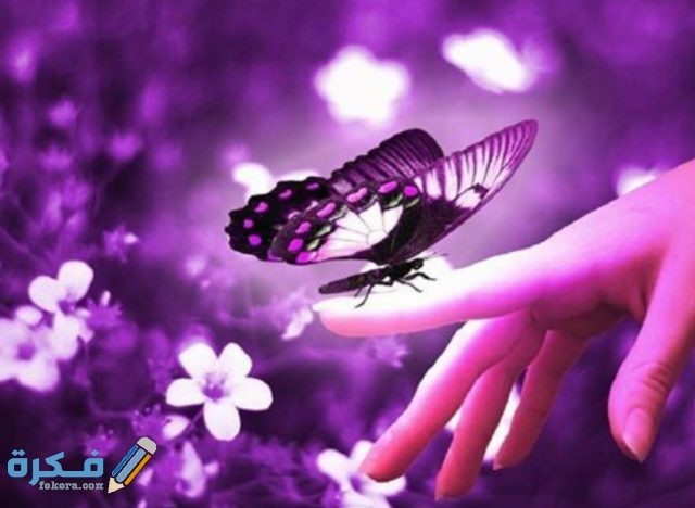 IMG ٢٠٢٠١١١٣ ١١٠٣١٤