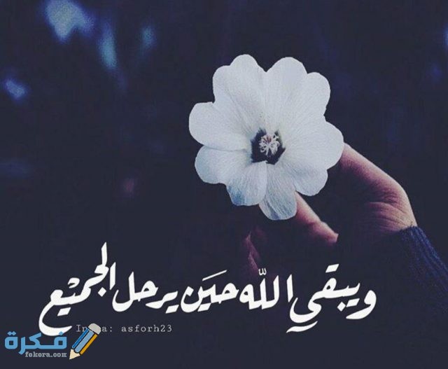 صور خلفيات انستقرام