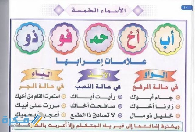 IMG ٢٠٢٠١١١٥ ٠٠١٨١٦