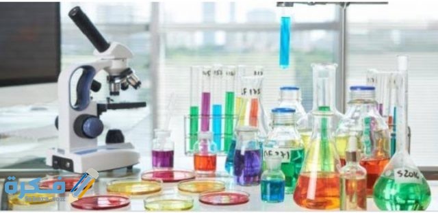 IMG ٢٠٢٠١١١٥ ٠٠١٨٤٢