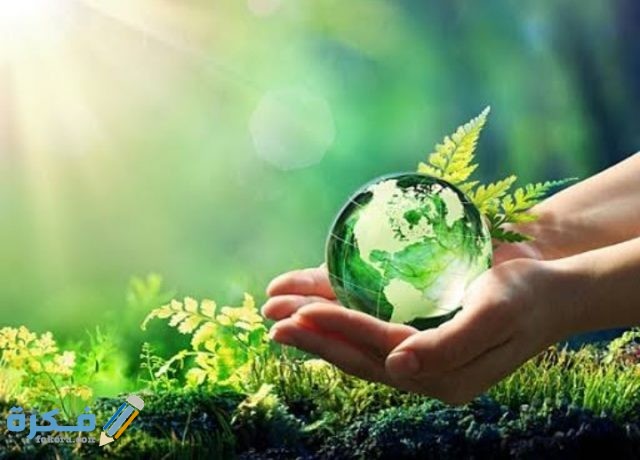 IMG ٢٠٢٠١١١٥ ٠٠١٩٢٣