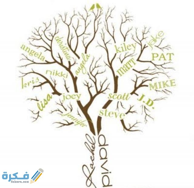 IMG ٢٠٢٠١١١٦ ٠١٥٩٢٢