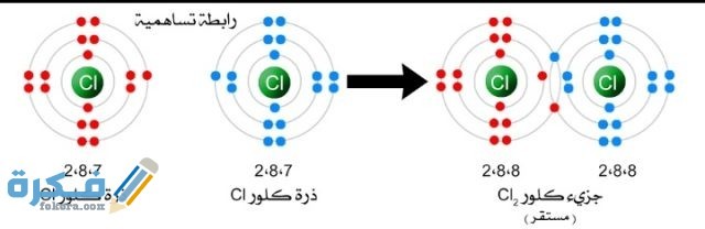 IMG ٢٠٢٠١١١٨ ٠٢٣٤٥٣
