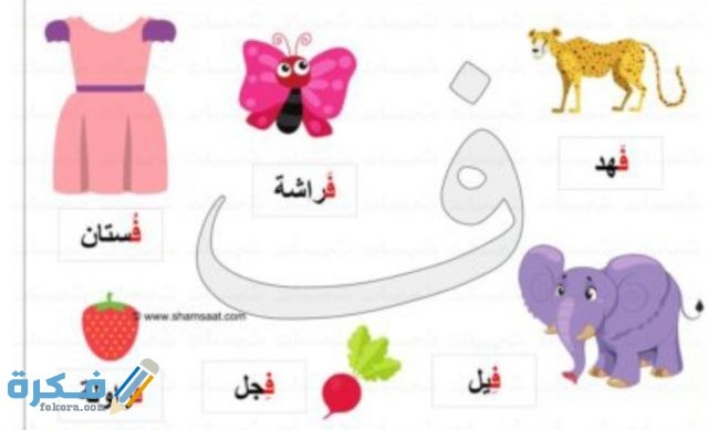 IMG ٢٠٢٠١١١٨ ١٥٢٤٥٤