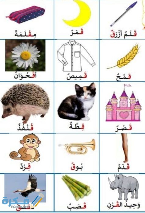 IMG ٢٠٢٠١١١٨ ١٥٤٤١٥