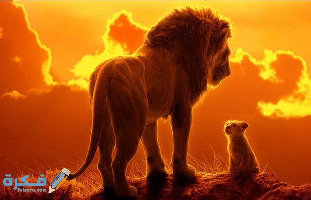 IMG ٢٠٢٠١١١٨ ٢١٣٩٤٠