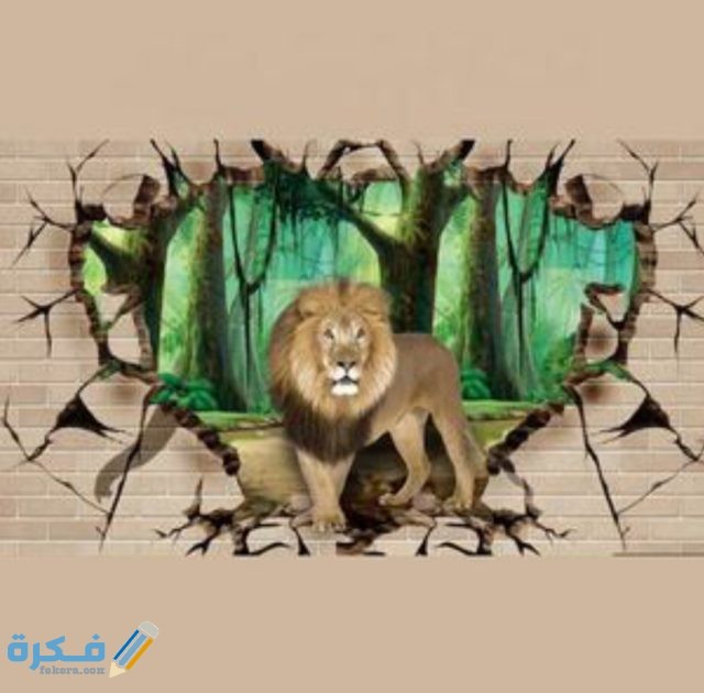 IMG ٢٠٢٠١١١٨ ٢١٤٠٢٩