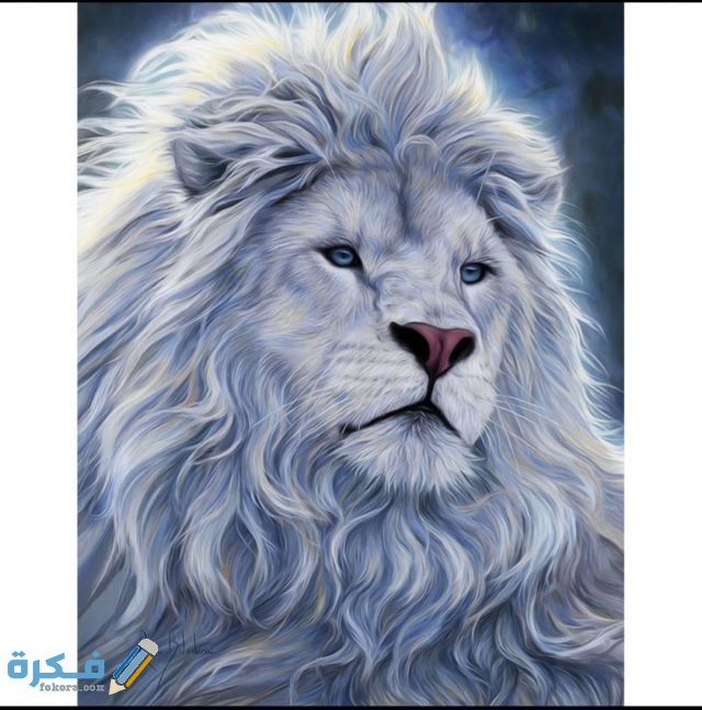 IMG ٢٠٢٠١١١٨ ٢١٤١٠١